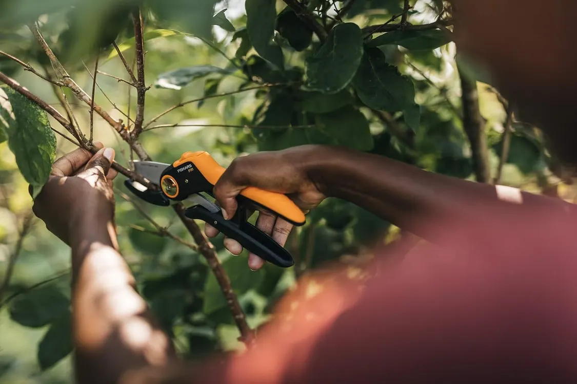 Fiskars P741 im Test: leicht, aber schwach an Hartholz